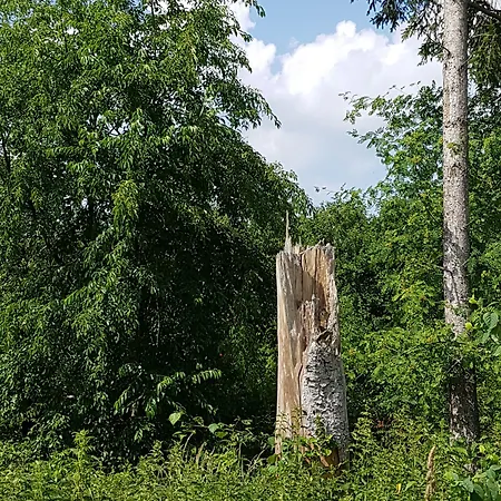 Hotel Anders Bad Füssing