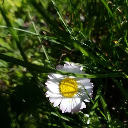 Anders 3* Bad Füssing