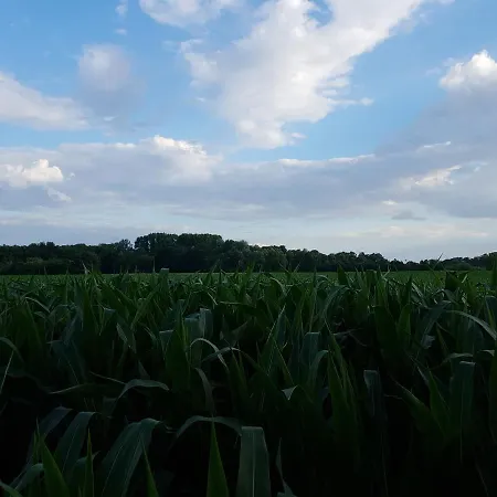 Anders Hotel Bad Füssing