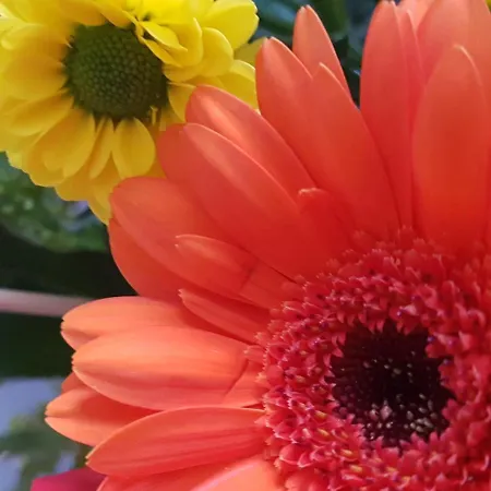 Anders Hotel Bad Füssing