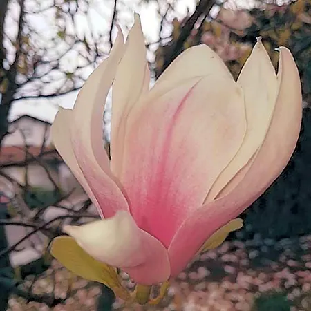 酒店 Anders 巴特法兴格