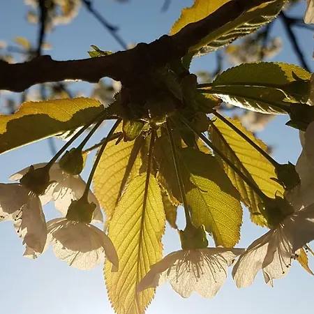 Anders Ξενοδοχείο 3*